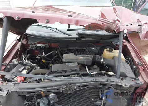 2009 Ford F150 z USA, uszkodzony, nr VIN 1FTRF12W09KB42914